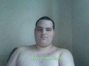 Horsesbatchelor