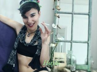Hotfibi