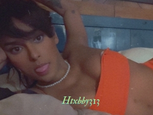 Htxbby313
