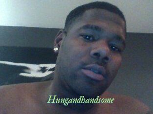 Hungandhandsome