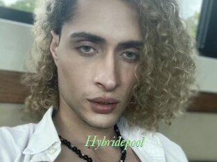 Hybridepool