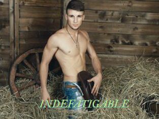 INDEFATIGABLE