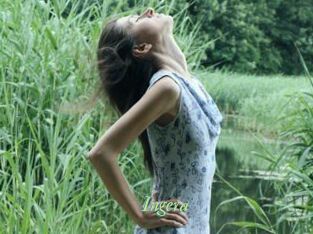 Ingera