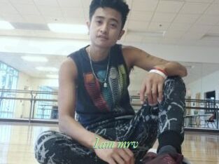 Iam_mrv