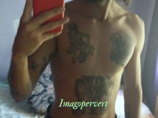 Imagopervert