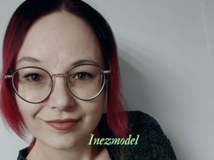 Inezmodel