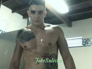 Jake_Sulivan