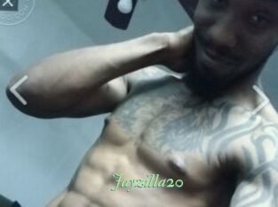 Jayzilla20