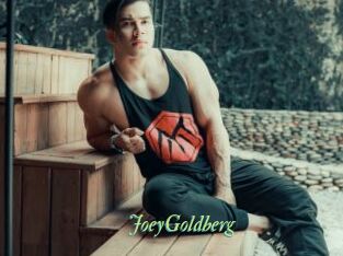 JoeyGoldberg