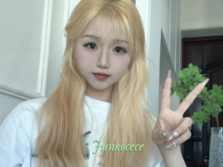 Junkocece