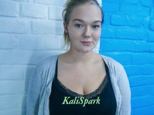 KaliSpark