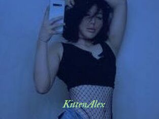 KittenAlex