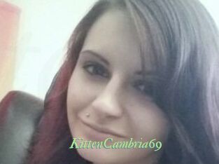 KittenCambria69