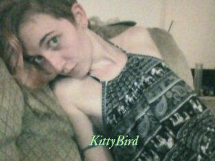 KittyBird