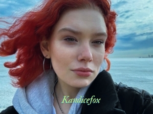 Kandicefox