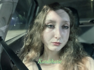 Kandikatie