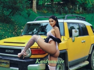 Kandymussee
