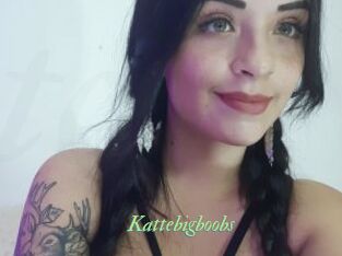 Kattebigboobs