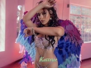 Kattrose