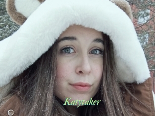 Katytaker