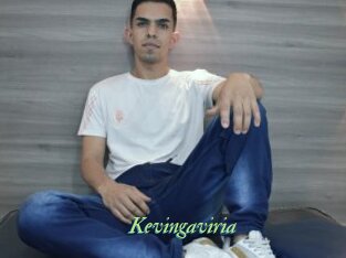 Kevingaviria