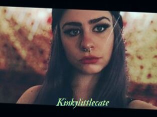 Kinkylittlecate