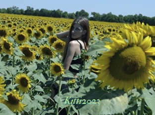 Kitti2023