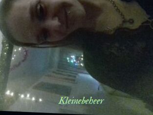 Kleinebeheer