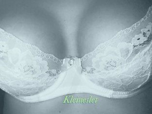 Kleineslet