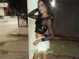 Kodamagrey