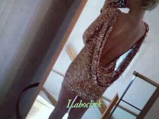 Labochek