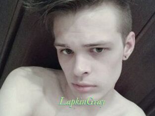 LapkinGray