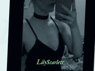 Lily_Scarlett