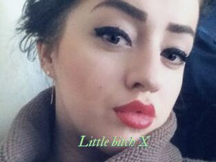 Little_bitch_X