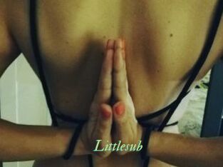 Littlesub