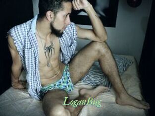 LoganBiig
