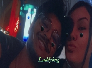 Laddybug