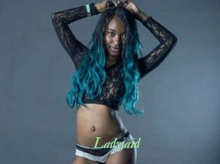 Ladyjaid