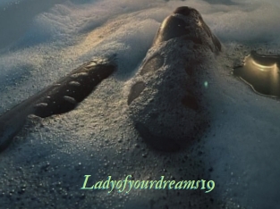 Ladyofyourdreams19