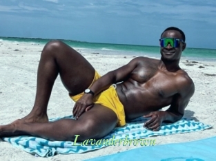 Lavanderbrown