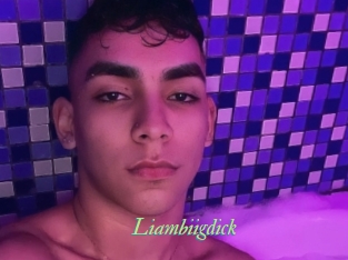 Liambiigdick