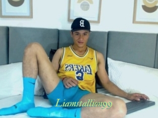 liamstallion99 Tel Coquin