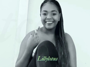 Lillylotus