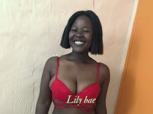 Lily_bae