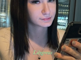 lilygrows Tel Coquin