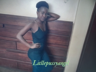 Litllepussyangel