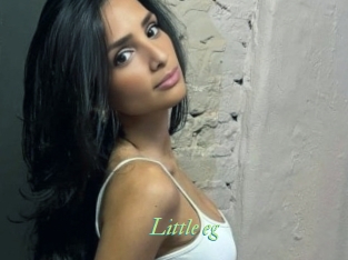 little_eg Tel Coquin
