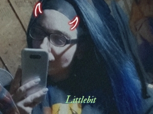 Littlebit