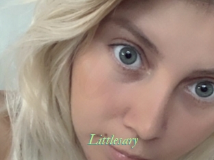 littlesary Tel Coquin