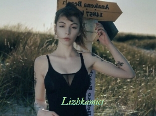 Lizhkamics